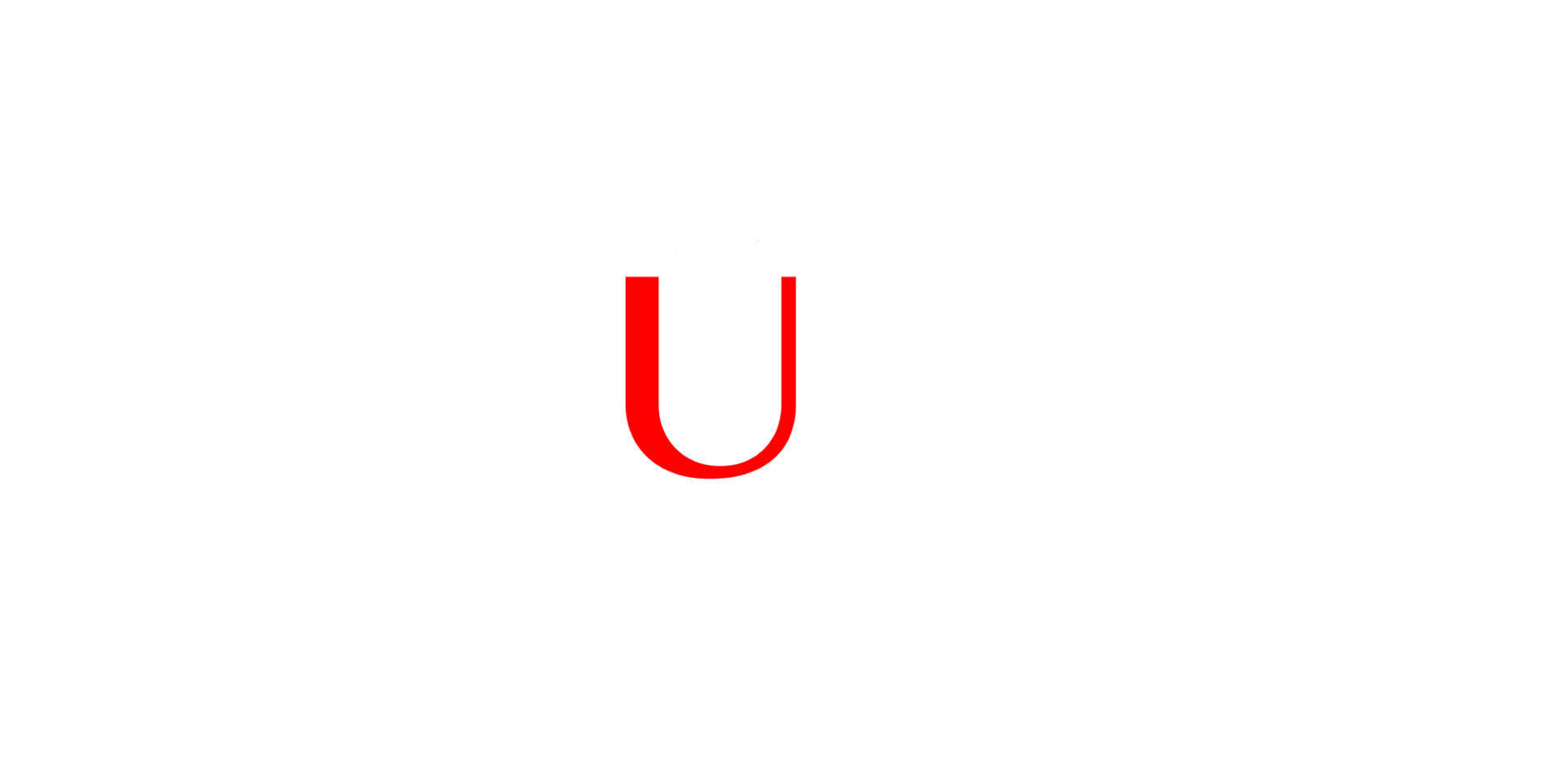Bruder
